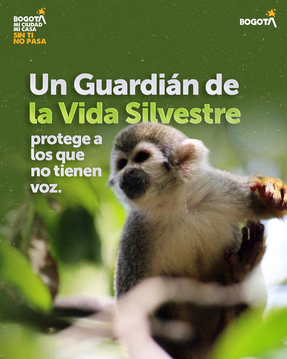 Secretaría de Ambiente tweet media