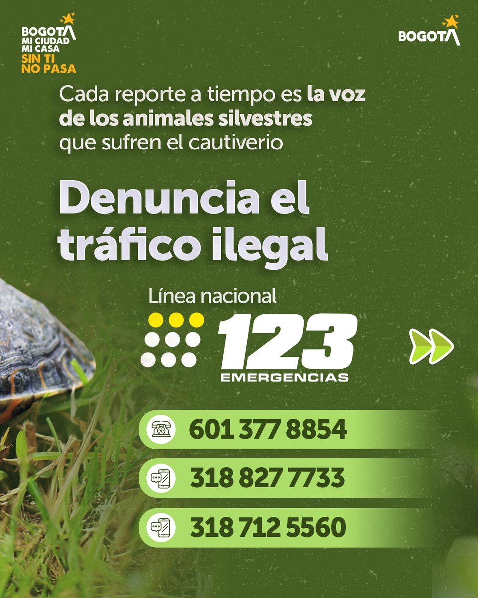 Secretaría de Ambiente tweet media