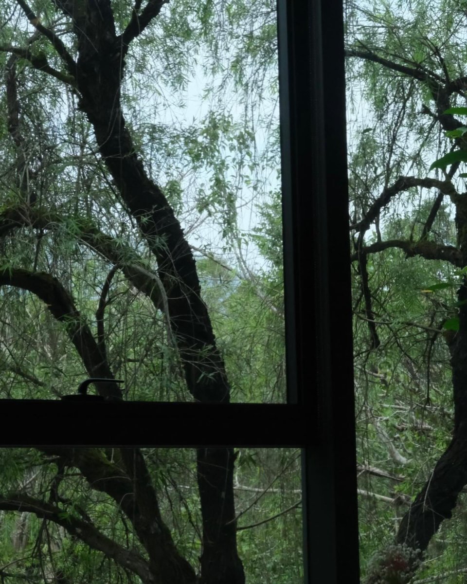 WILLIE PORTER tweet media