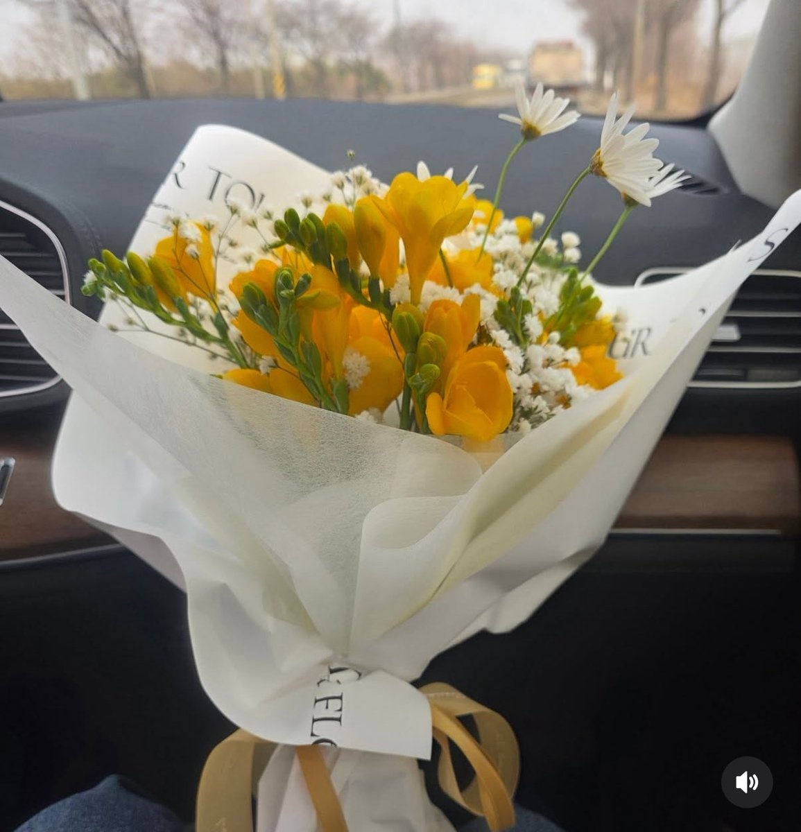 SnackNok_제이비_최승현 tweet media