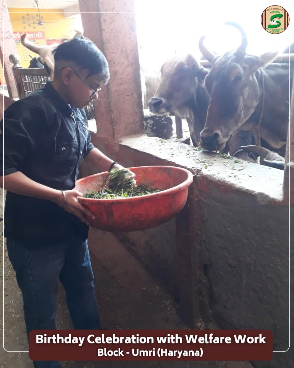 Shah Satnam Ji Green S Welfare Committee tweet media