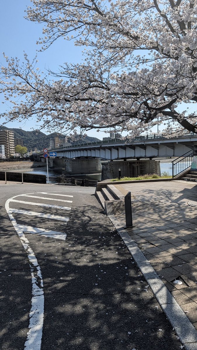 F.KAMIYA tweet media