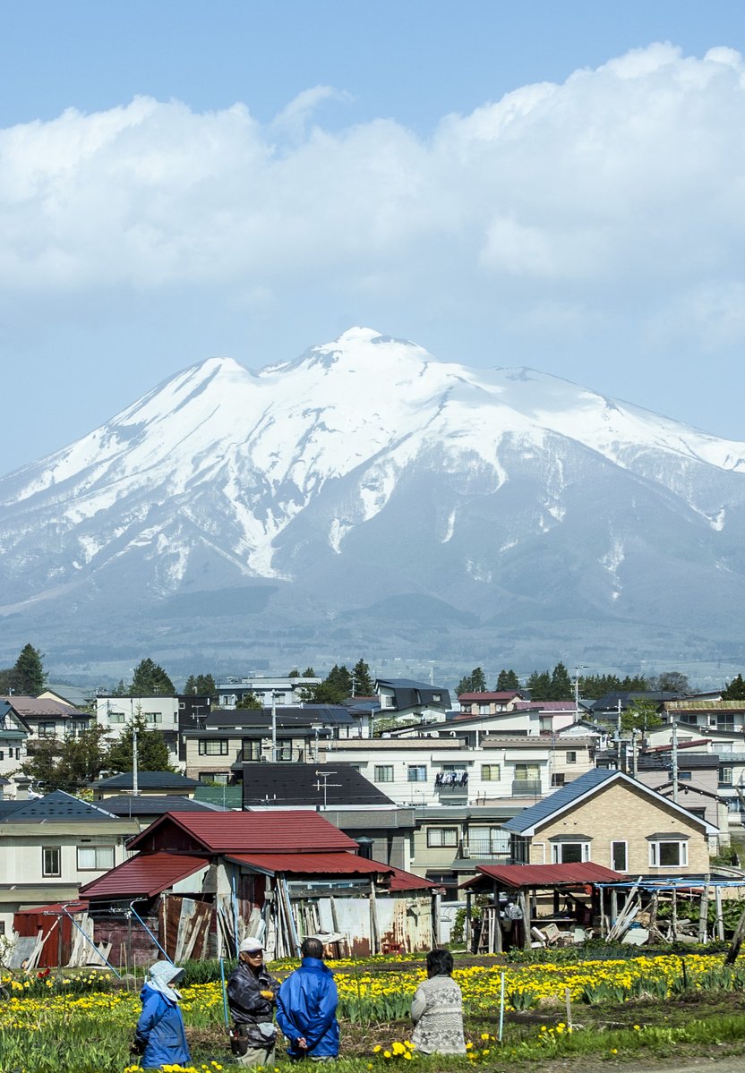 あおもりきのこ tweet media