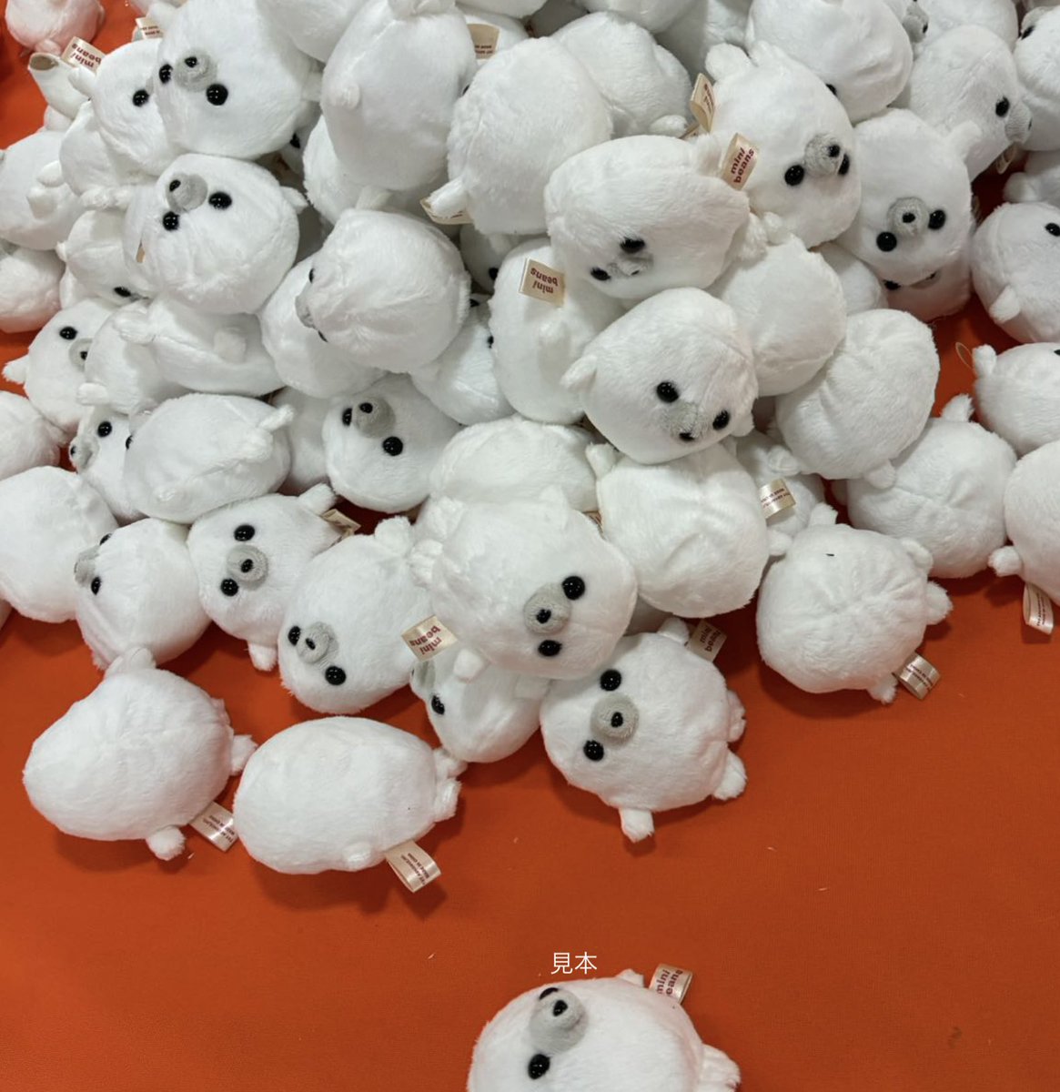 ぬいぐるみのTSTADVANCE【公式】 tweet media