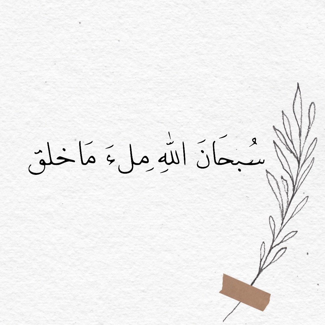 𝓐𝓰𝓮𝓮𝓻 🕊️ tweet media