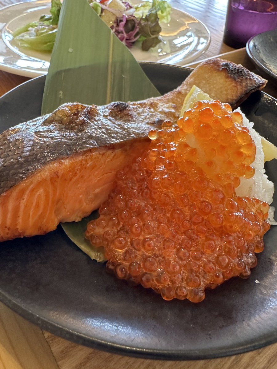 BAYSIDE SHOCK tweet media