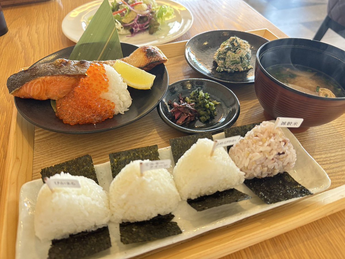 BAYSIDE SHOCK tweet media