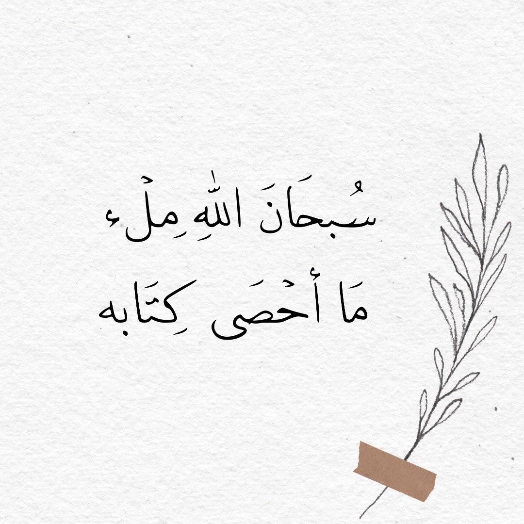 𝓐𝓰𝓮𝓮𝓻 🕊️ tweet media