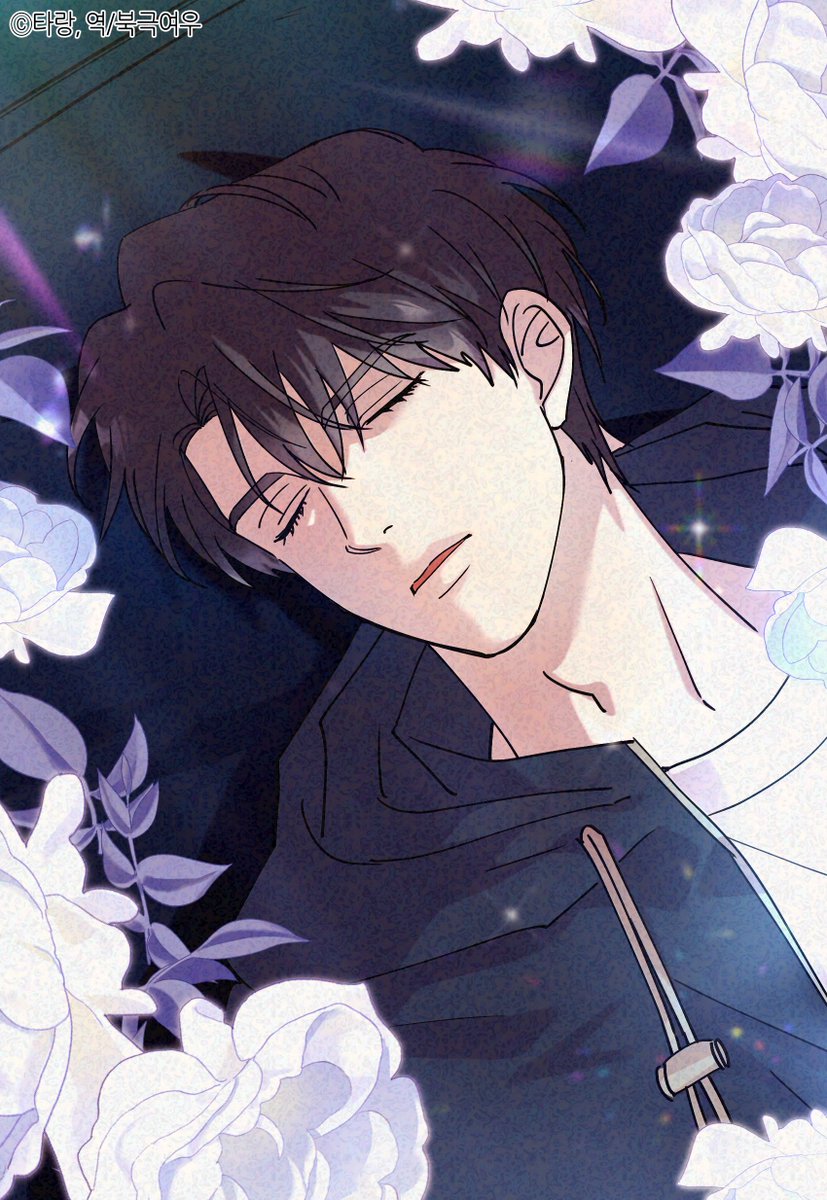 북극여우 만화 tweet media