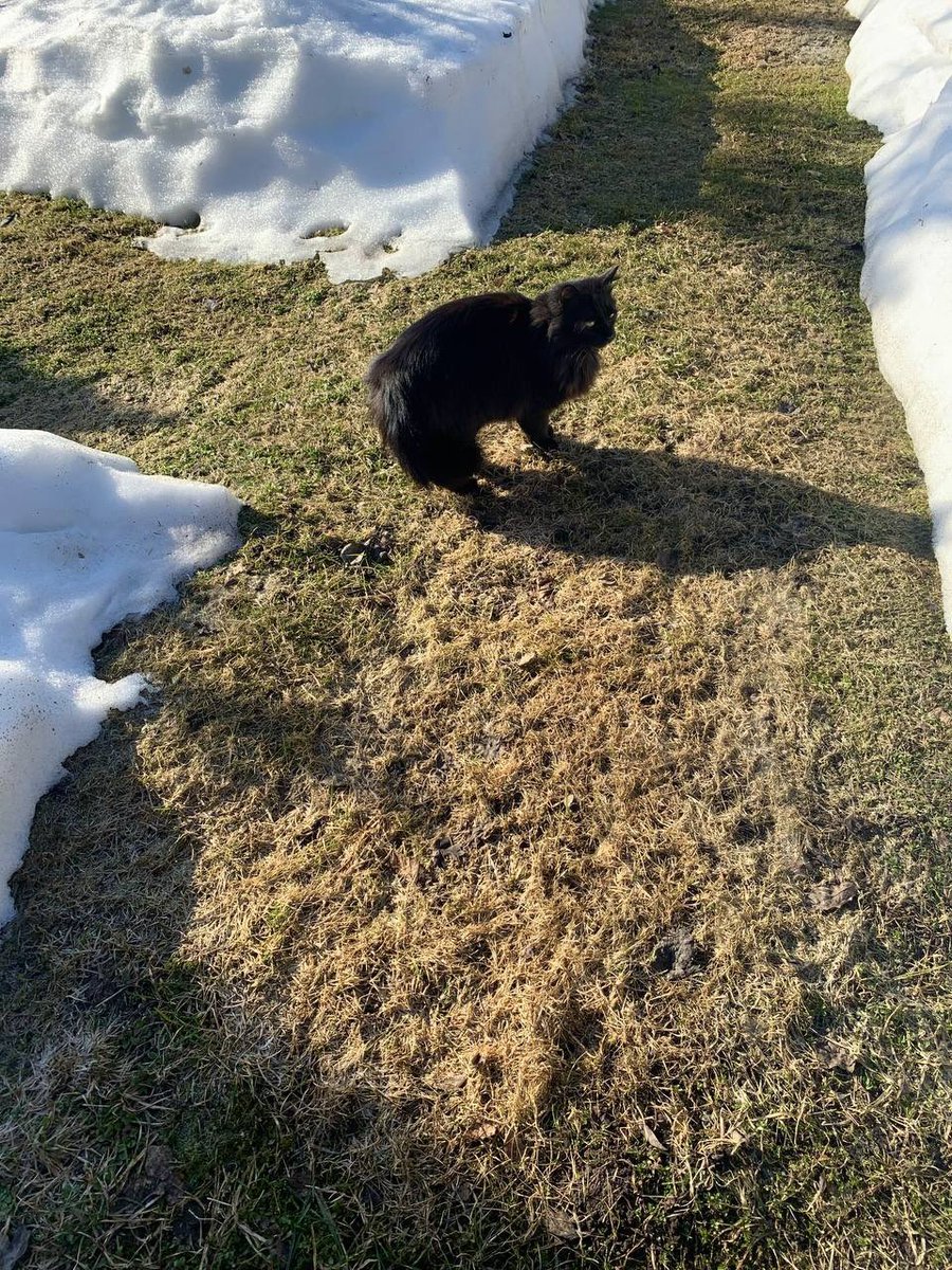 Инга tweet media