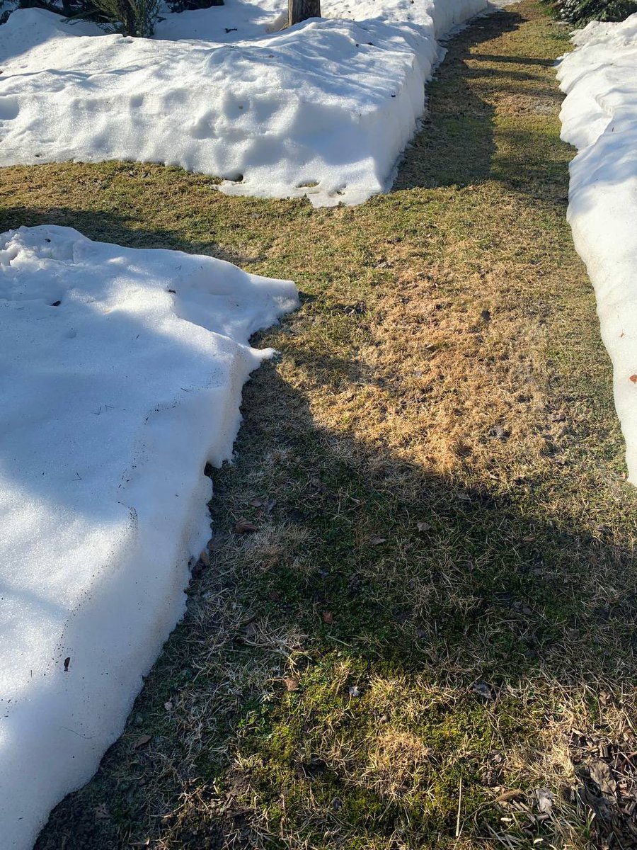 Инга tweet media