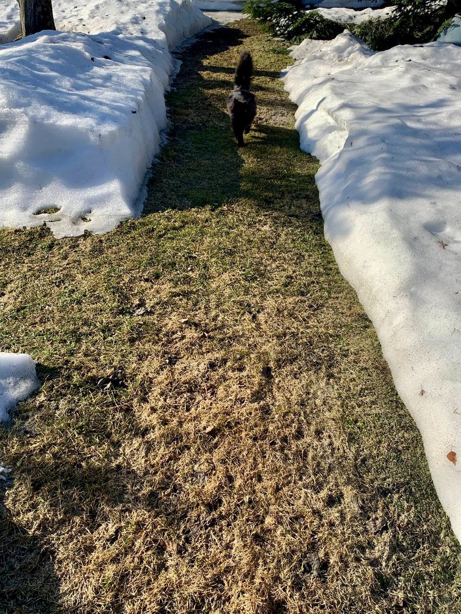 Инга tweet media