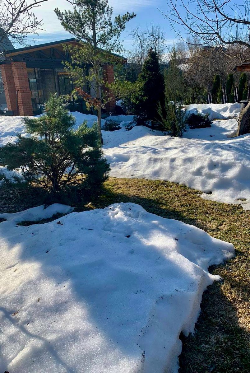 Инга tweet media