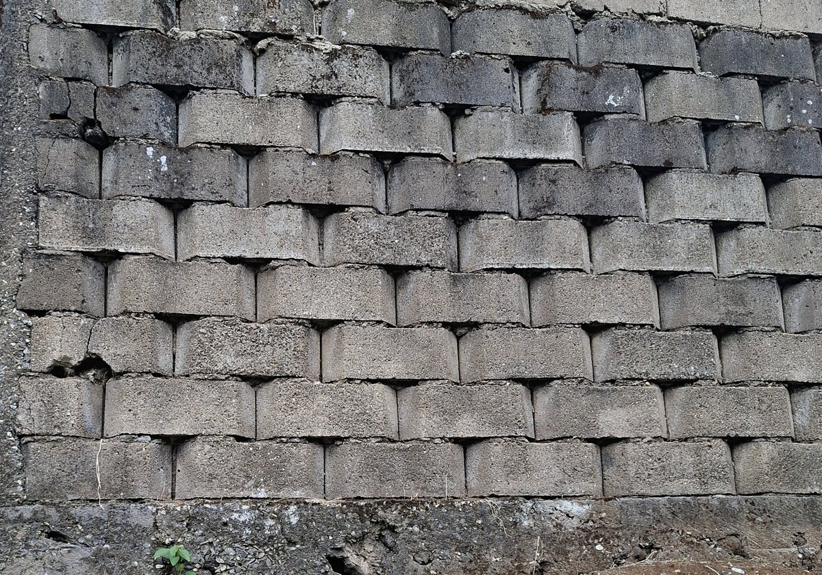 Lyonga 🇨🇲 tweet media