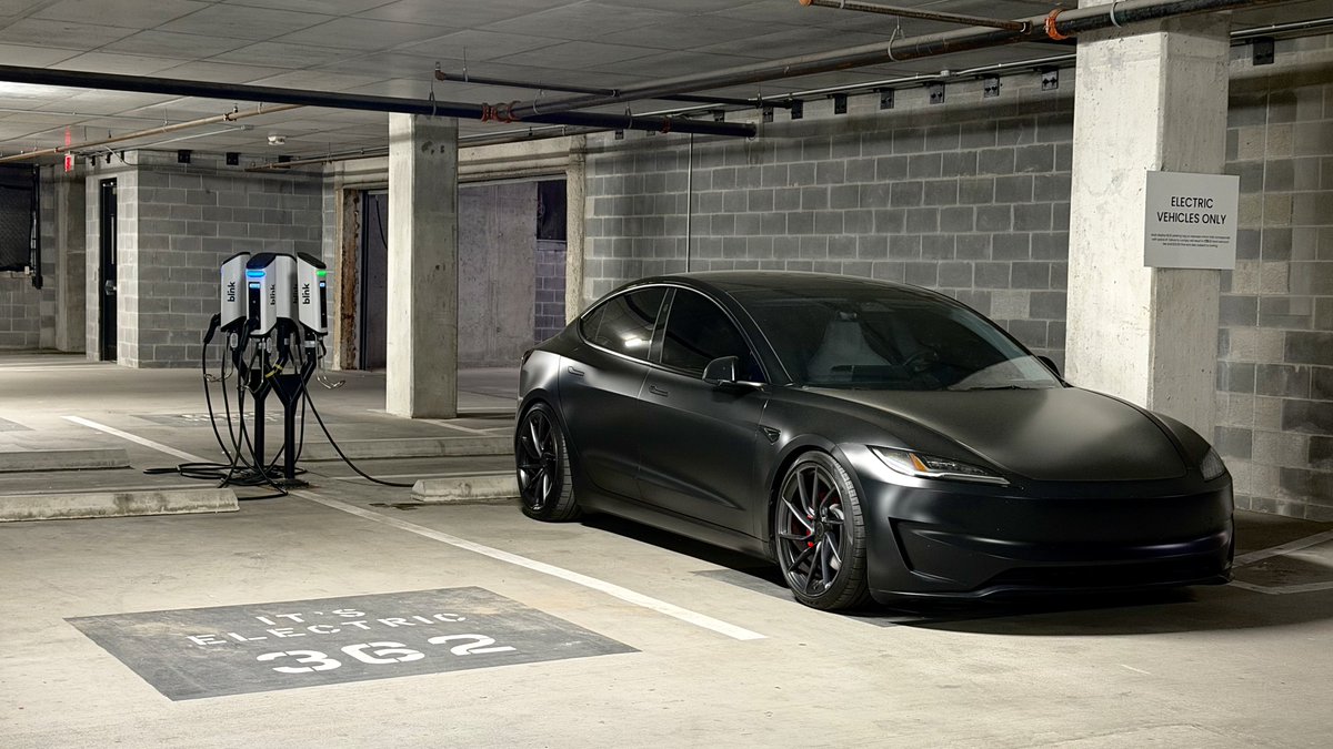 Nic Cruz Patane tweet media