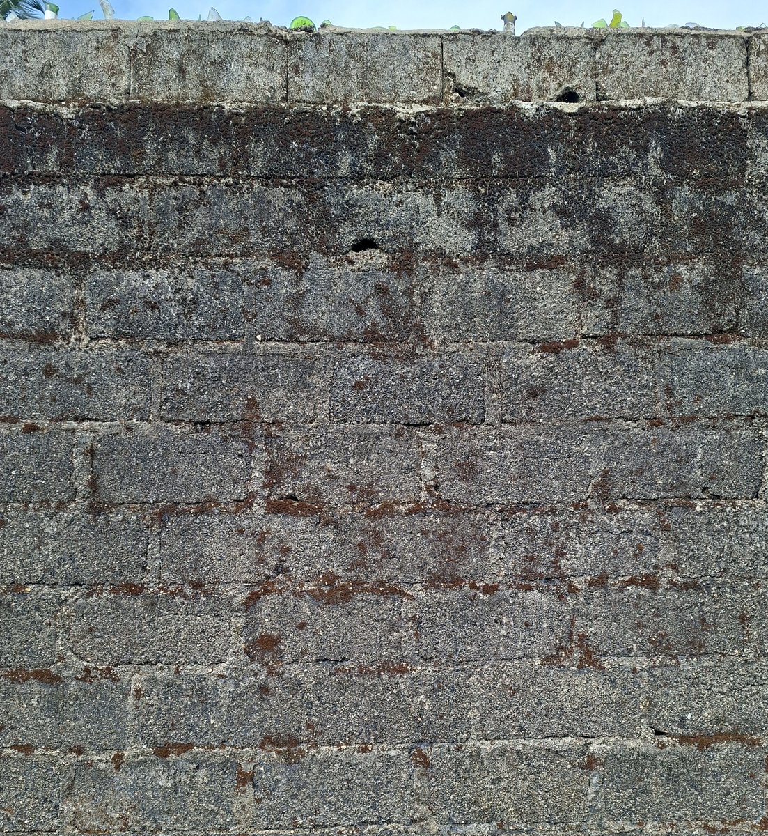 Lyonga 🇨🇲 tweet media