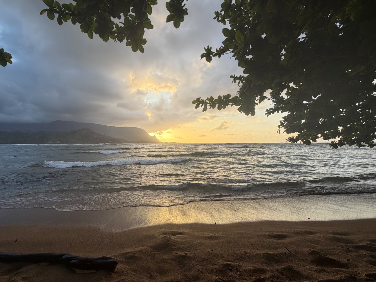 Drew Levin is on vacation (see pinned post) tweet media