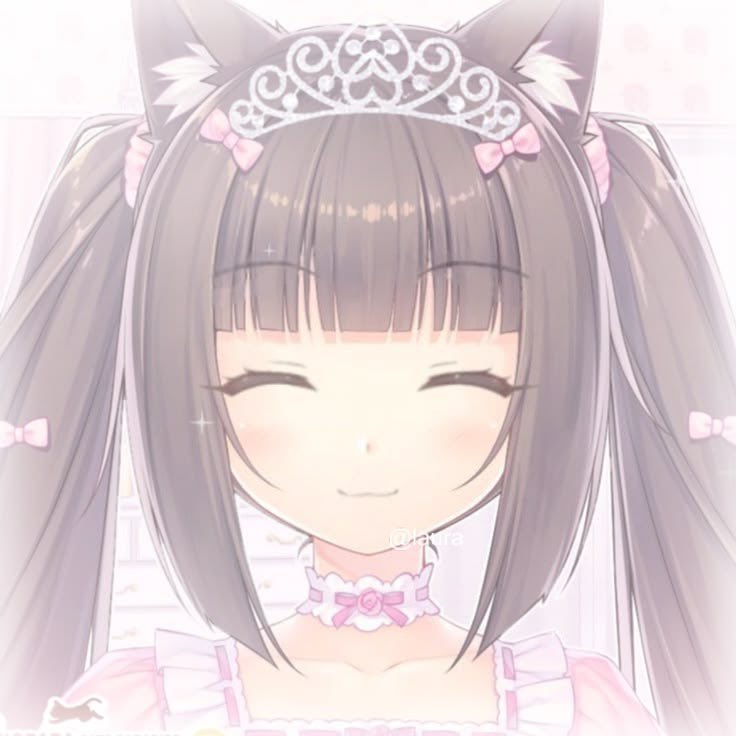 ells shtwt tweet media