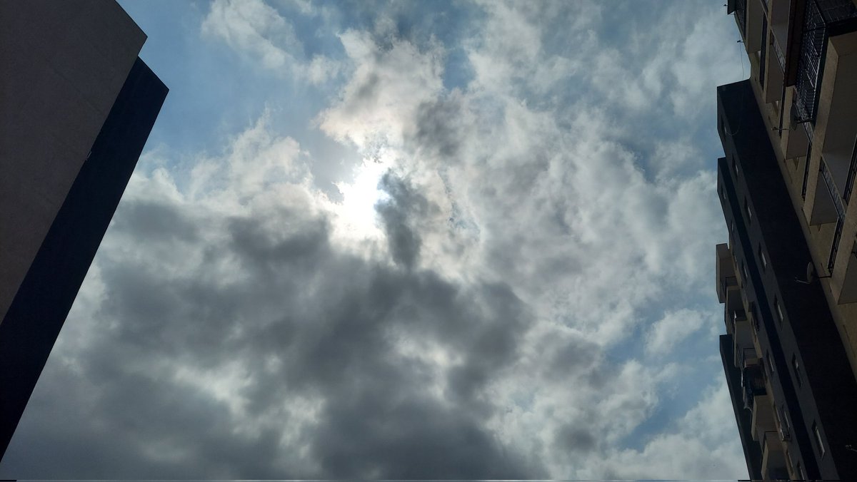 وَردَة | الحمدلله tweet media