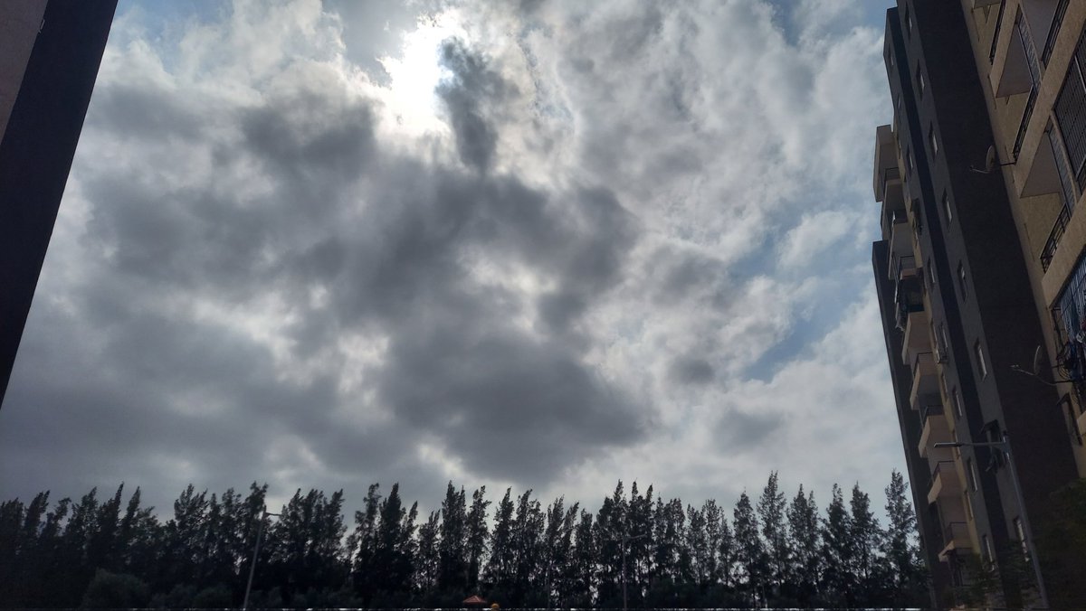 وَردَة | الحمدلله tweet media