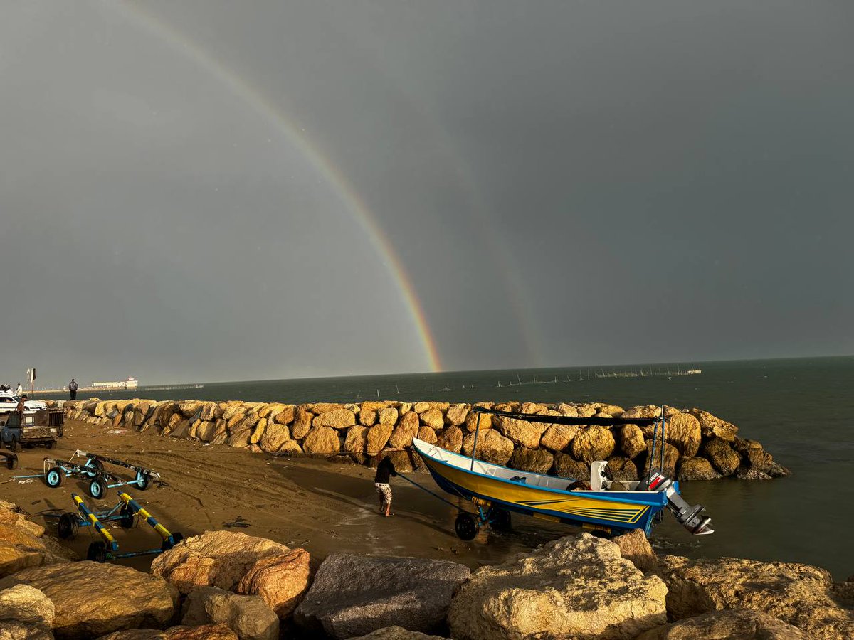 Vahid Online tweet media