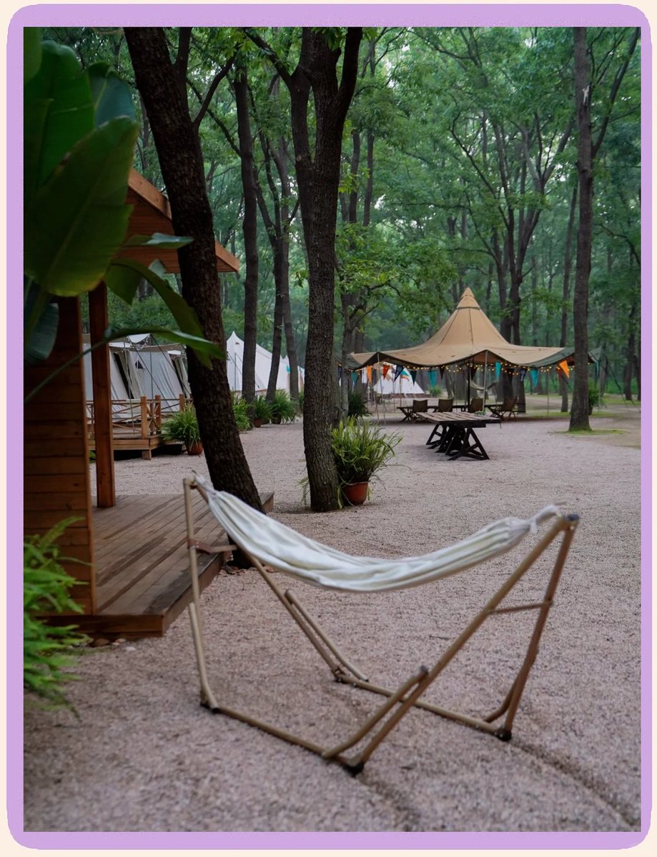 hima abeed tweet media