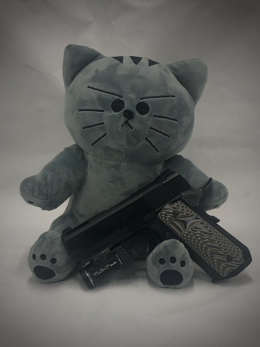 Papi the CAT tweet media