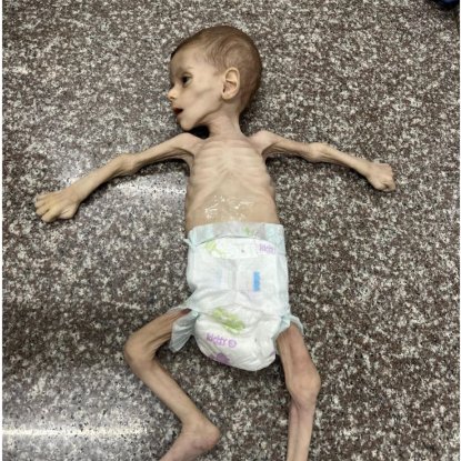 ✦✦✦ 𝙿𝚊𝚖𝚙𝚑𝚕𝚎𝚝𝚜 ✦✦✦ tweet media