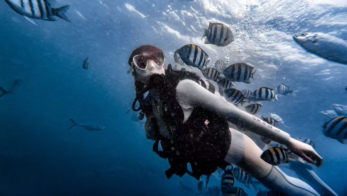 奶油桃（东莞情侣） tweet media