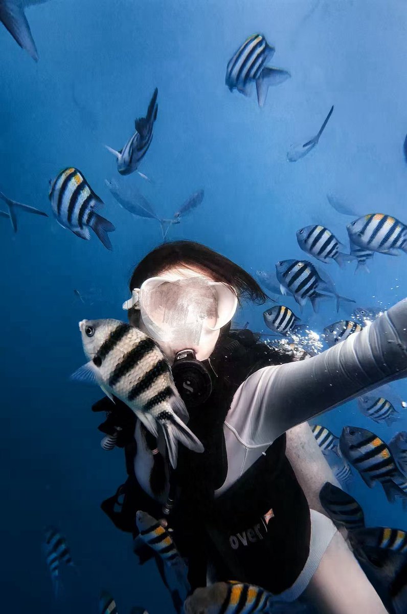 奶油桃（东莞情侣） tweet media