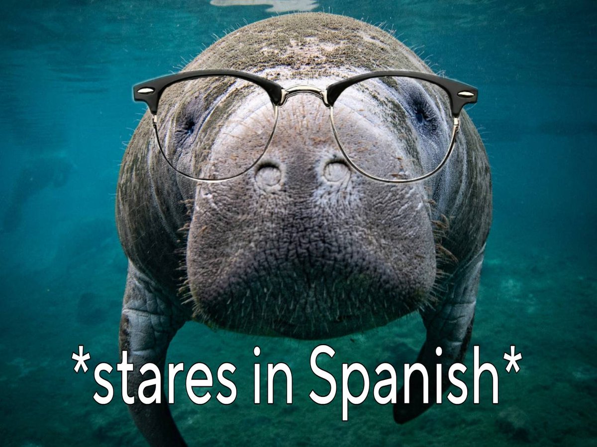 🫐 Mari 🫐 tweet media