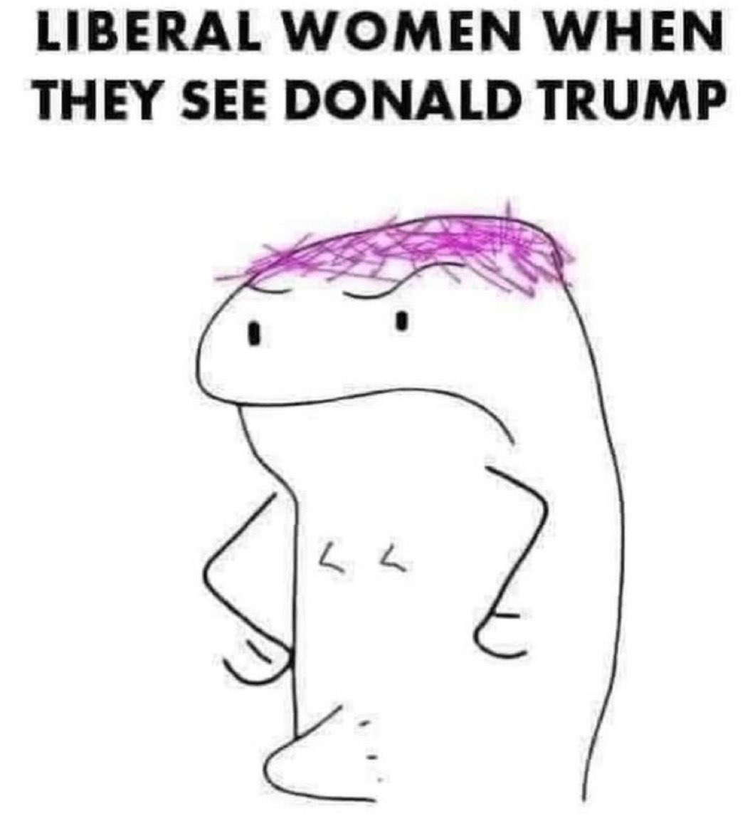 Trumplicans2024.com tweet media