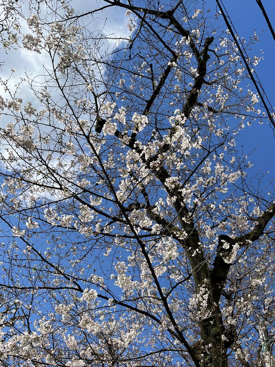 なべけい tweet media