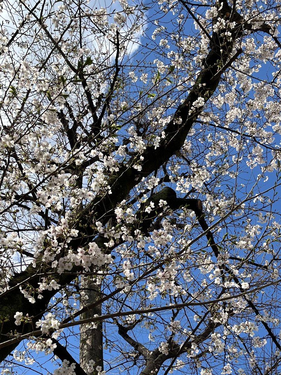 なべけい tweet media