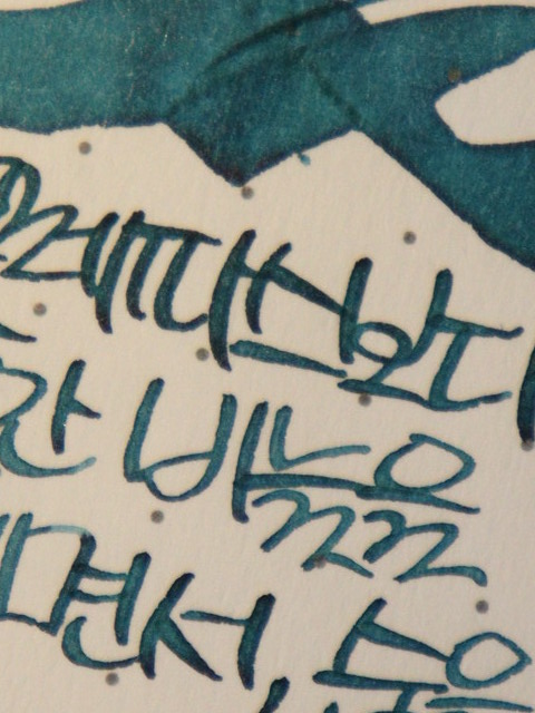 🌿 상록의정 tweet media