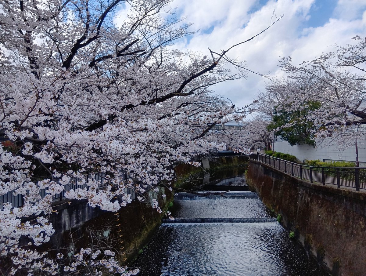 park-lee tweet media