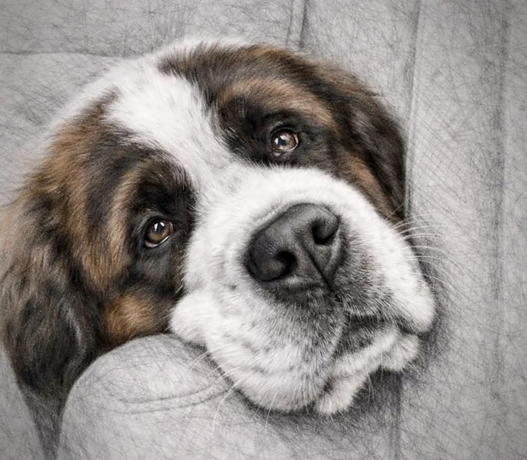 Patrizia tweet media