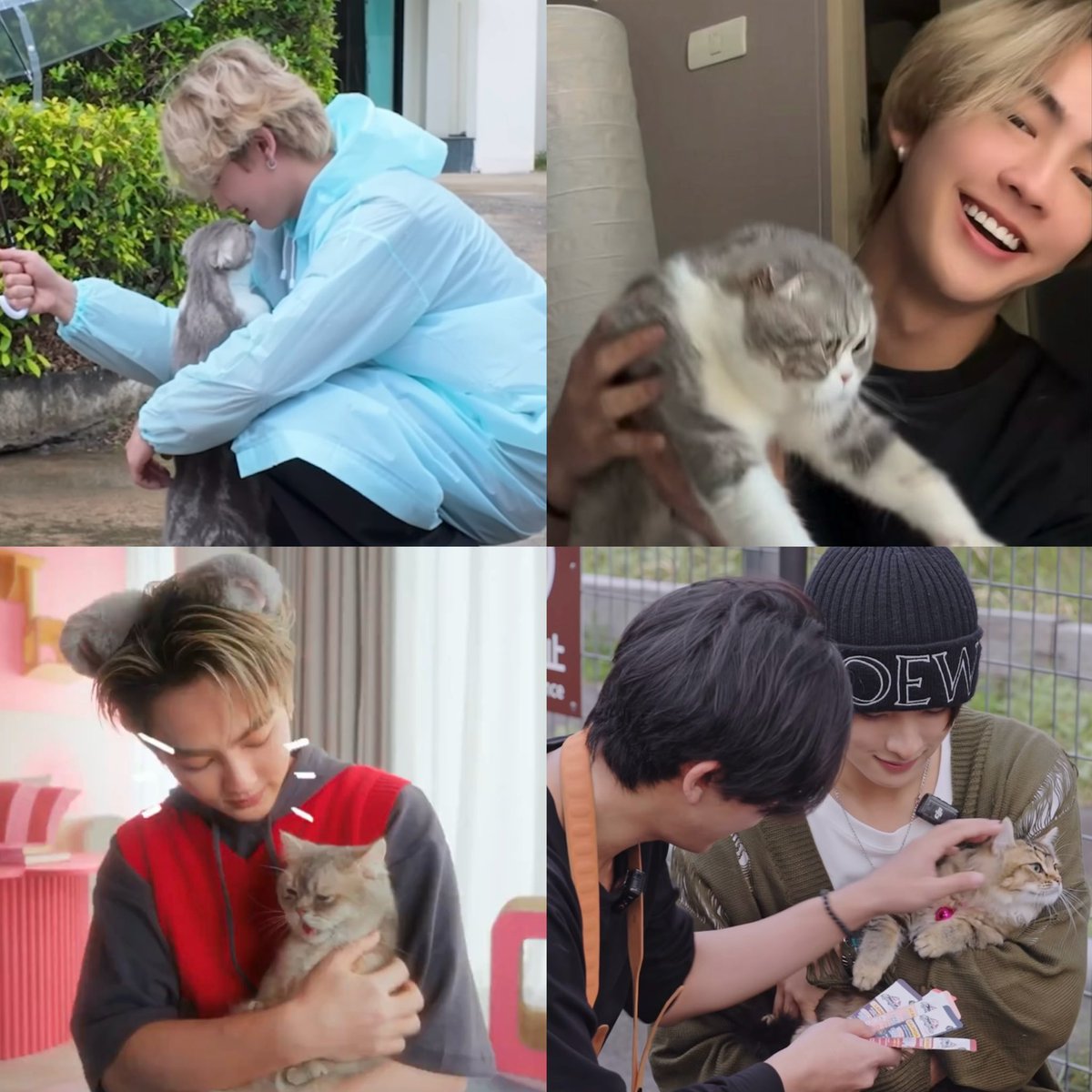 yourbabe! 🐈⬛💘 tweet media