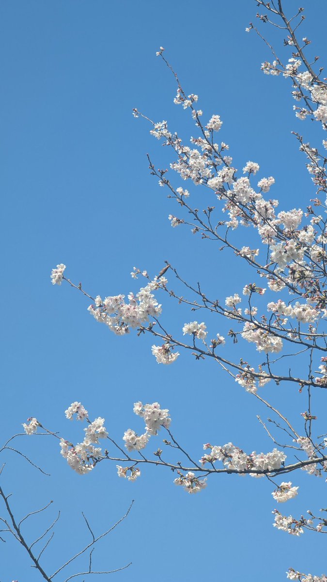 𝕜𝕒𝕥𝕒𝕥𝕒☆ tweet media