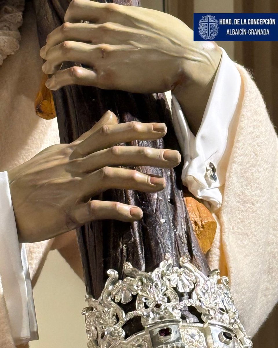 Hermandad de la Concepción tweet media