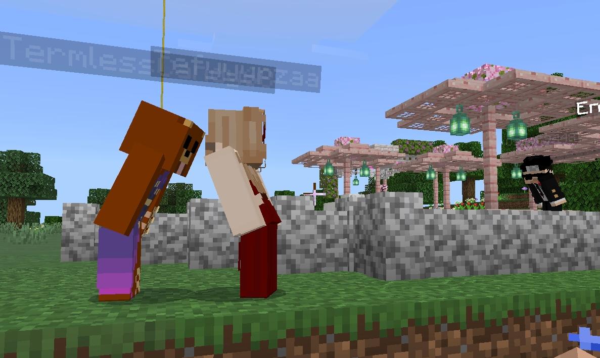 alellia_Gunders's tweet photo. Amo las bodas de minecraft🤍 https://t.co/Fe17ajKJik