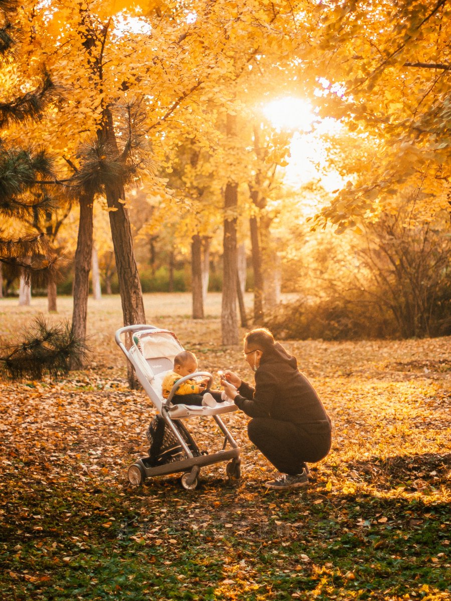 AAep Tea T Garoet tweet media