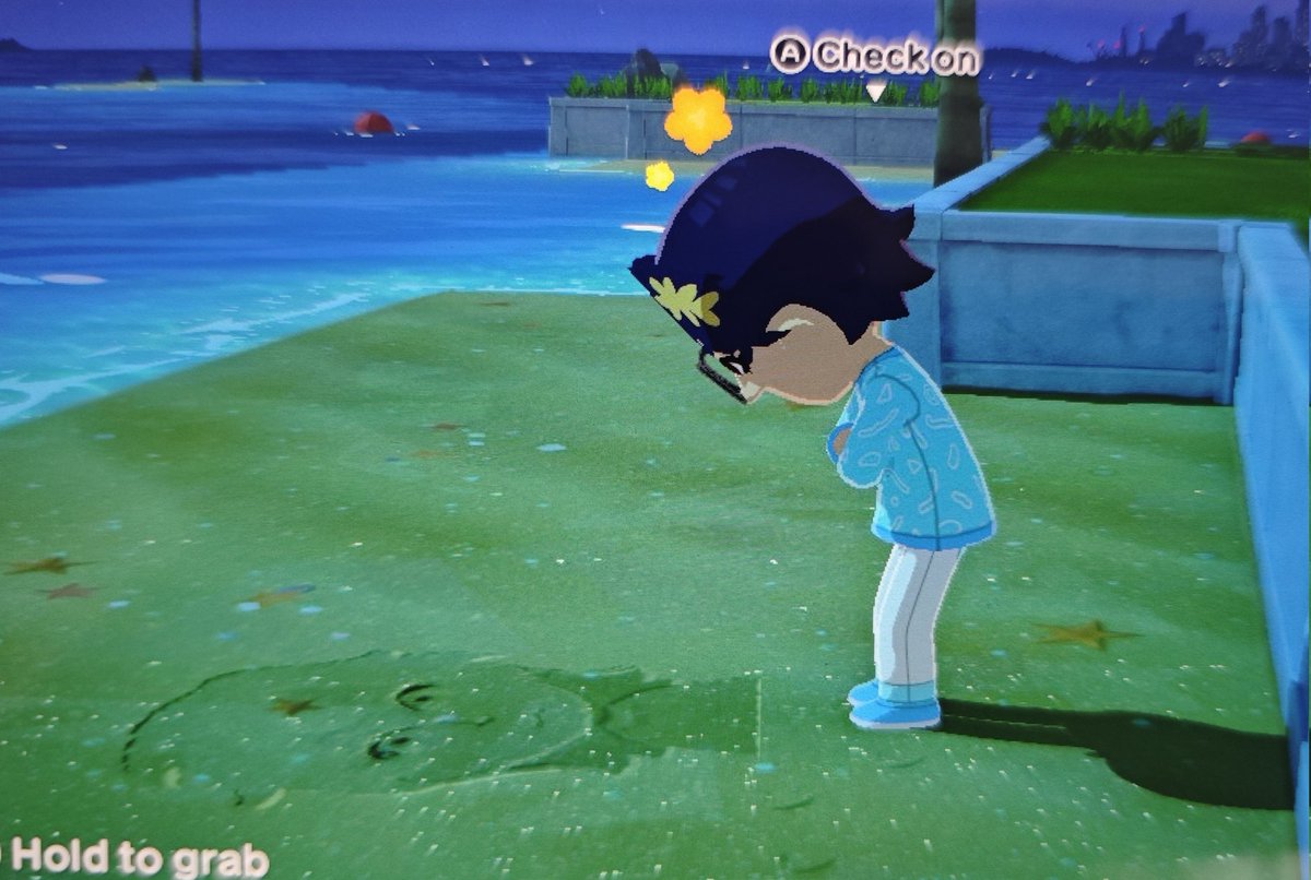 mishi 🌸🦭 tweet media