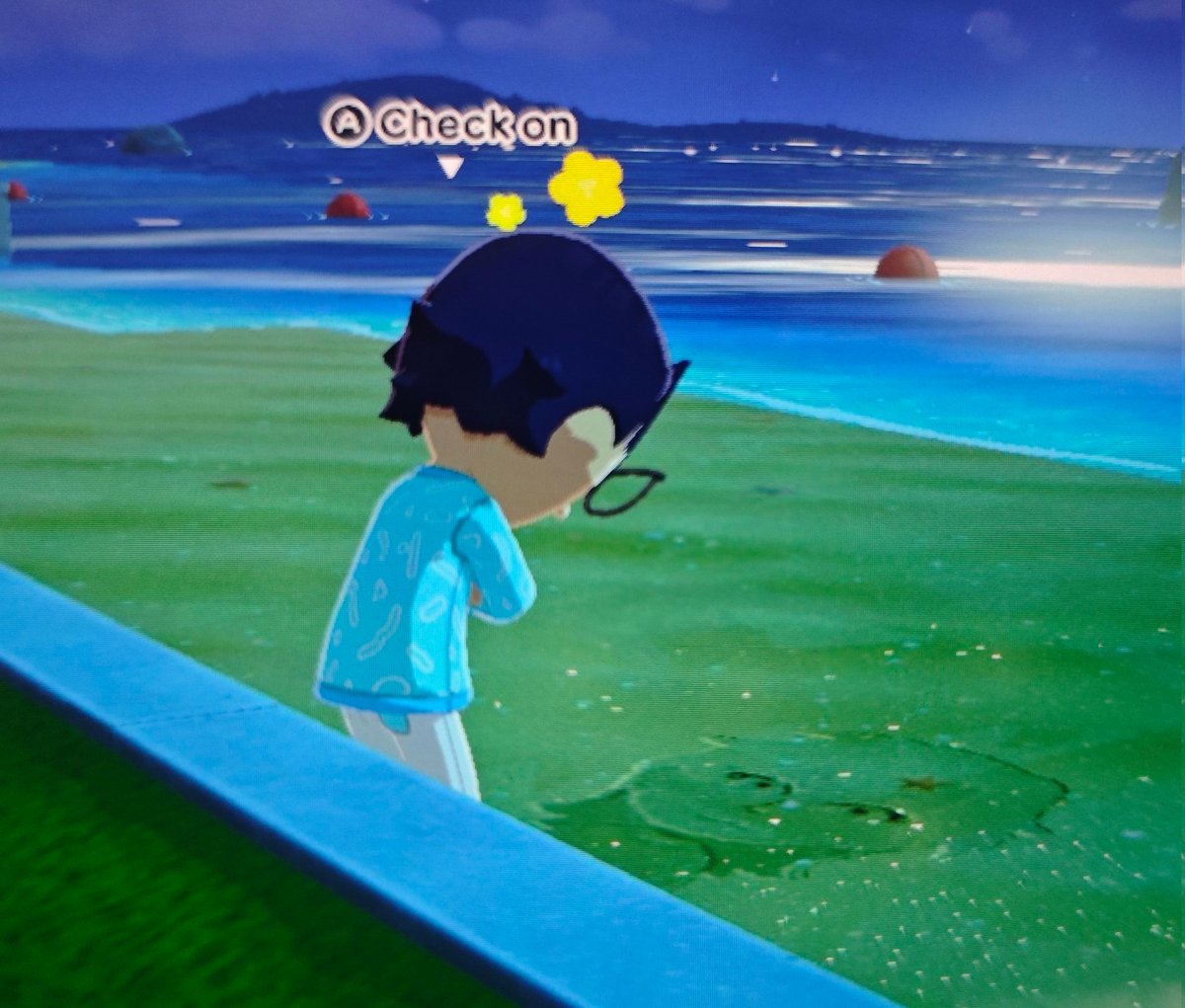 mishi 🌸🦭 tweet media