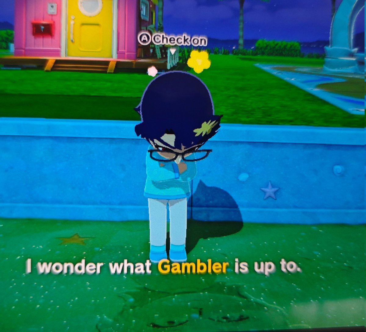 mishi 🌸🦭 tweet media