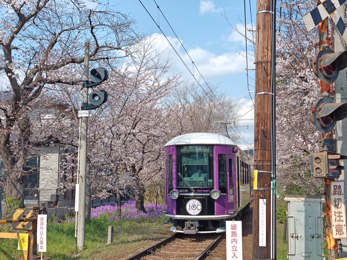 く~にん♪ tweet media