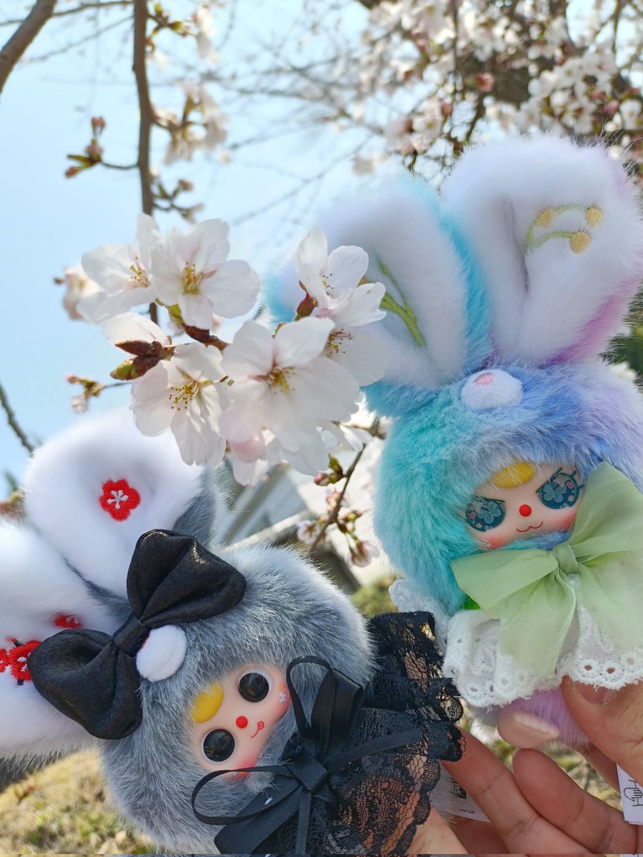 みかん🍊(元杏)ฅ❅*॰ॱ☪︎ tweet media