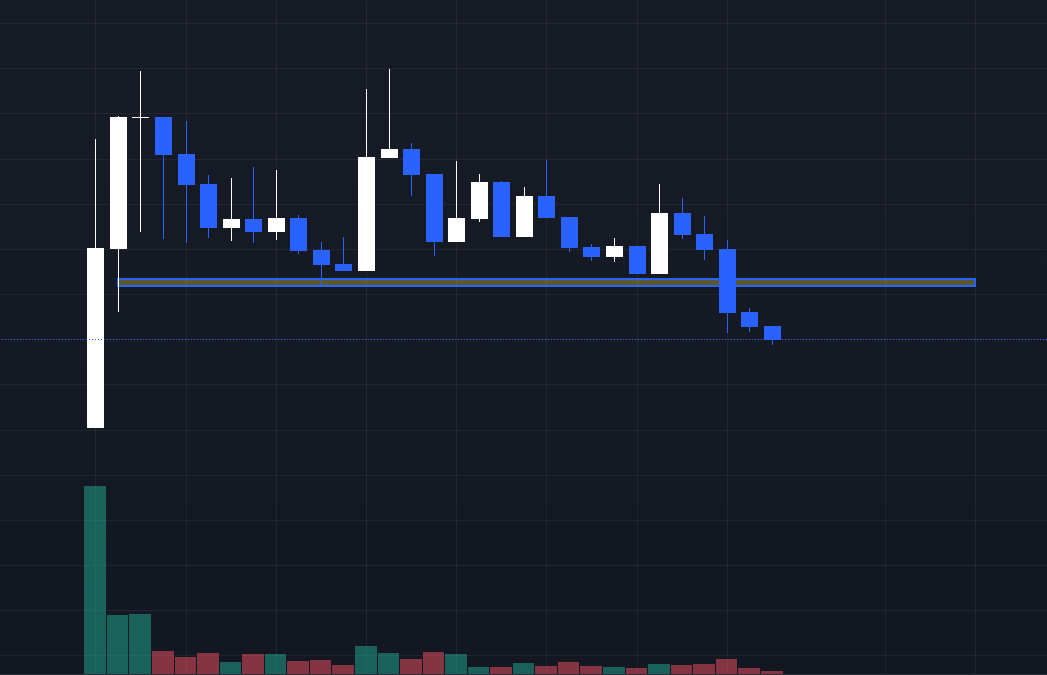 Hunter Andrew tweet media