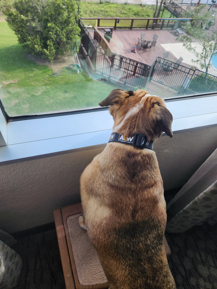 Rachel G tweet media