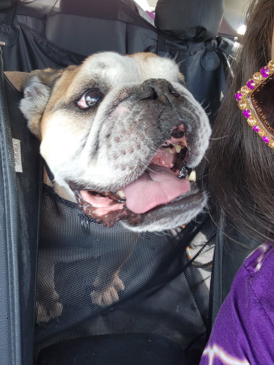 Rachel G tweet media